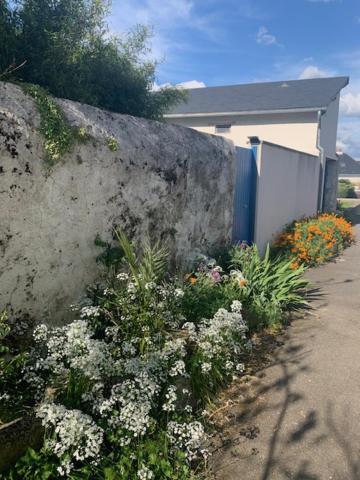 Chambre D'Hotes Les Petits Oiseaux Nantes Exterior foto
